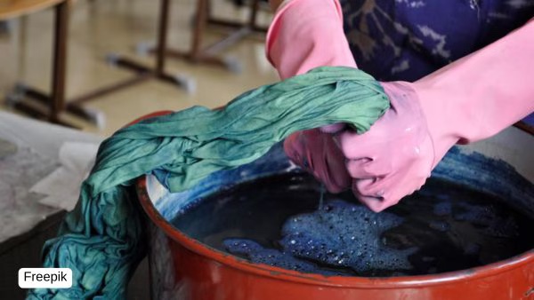 Earth Day Celebration Hacks