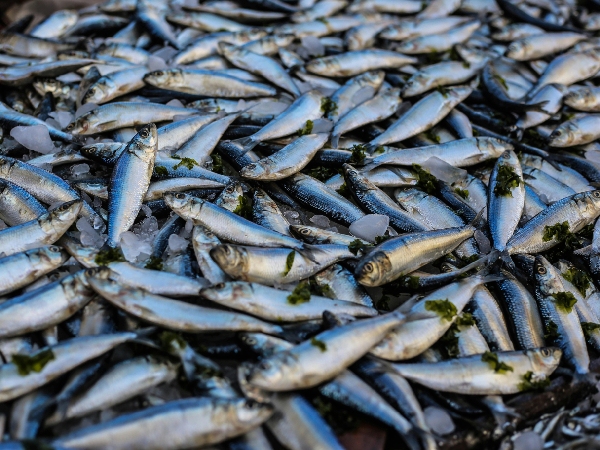 Superfoods That Boost Your Mood