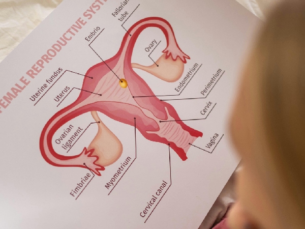 Plastic Impact On Women