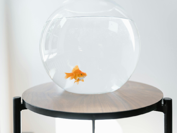 Shopping As Per Days Of The Week Shopping As Per Days Of The Week