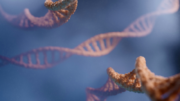 What Is Thalassaemia