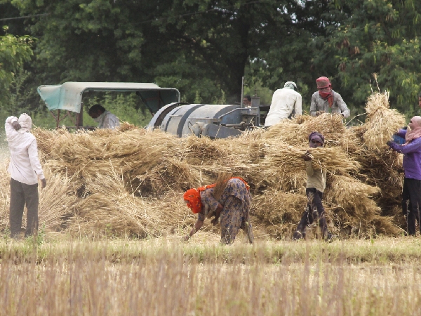 All About Jobs That Get No Respect