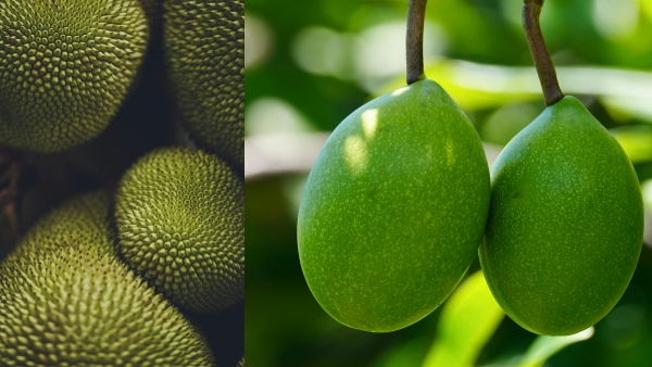 Foreigner s Viral Video Turns Eye Opener