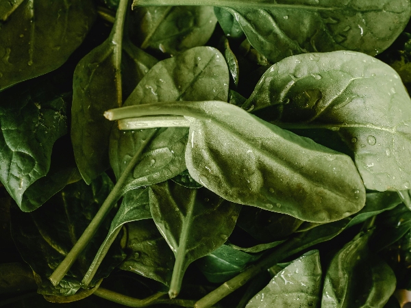 Summer Foods To Manage Blood Pressure