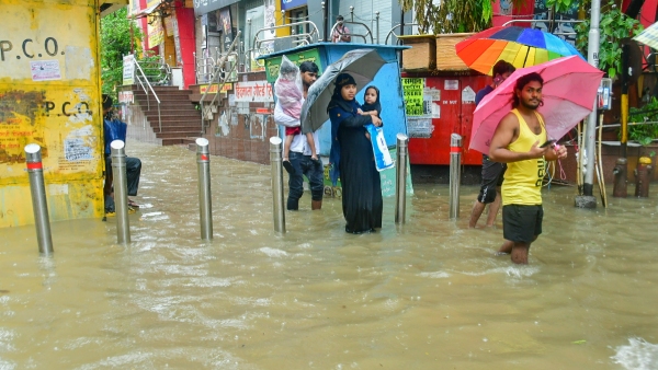 About The Bharat Forecasting System