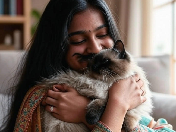 National Hug Your Cat Day