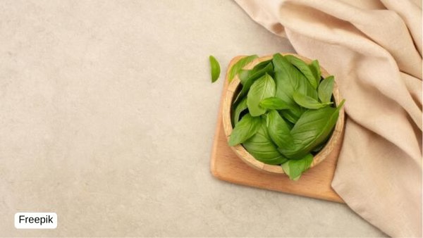 Summer Skincare Hacks Summer Skincare Hacks