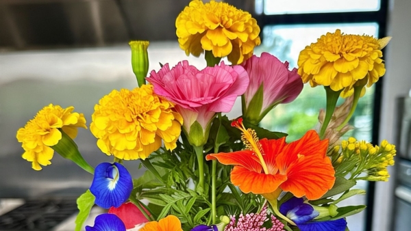 You ve Been Ignoring These 5 Edible Flowers That Can Actually Boost Immunity And Digestion