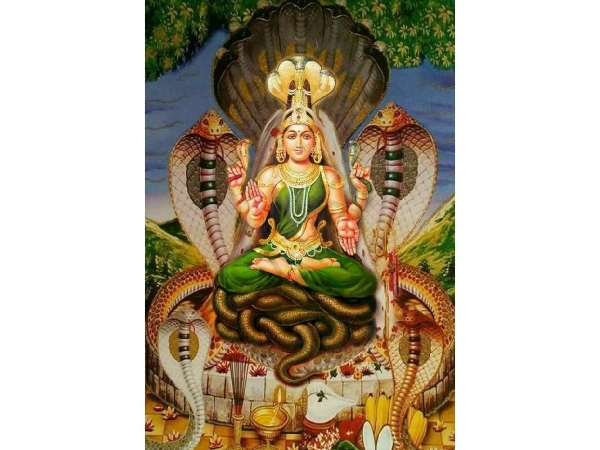 Nag Panchami 2025 Snake Worship In India