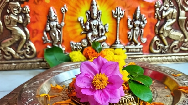 Sawan 2025 Don t Use Wrong Flower What To Offer Lord Shiva During Shravan Month For Peace And Prosperity