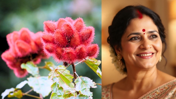 Your Sindoor Plant May Be Dying Because Of This One Hidden Negative Energy Source At Home