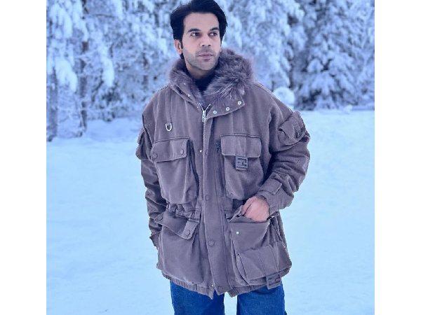 Rajkummar Rao Martial Arts Trained Star