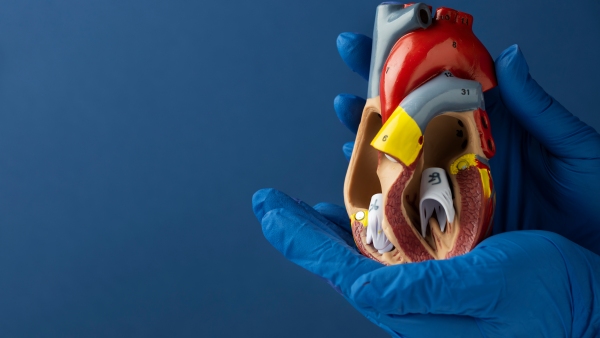 This World Organ Donation Day 2025 Learn The Theme Its Meaning And How You Can Help