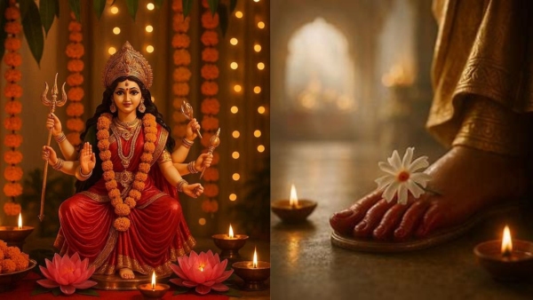 Navratri 2025 Why Parijat the Night-Blooming Flower Is Special to Maa Durga and What Makes It Sacred Navratri 2025 Why Parijat the Night-Blooming Flower Is Special to Maa Durga and What Makes It Sacred