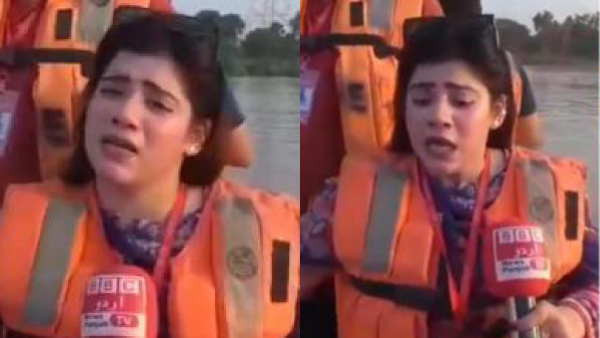 Nimra Khan s Viral News Moments