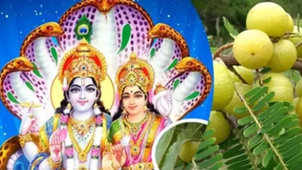 Spread Positivity This Akshaya Navami Spread Positivity This Akshaya Navami