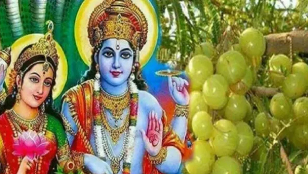 Spread Positivity This Akshaya Navami Spread Positivity This Akshaya Navami