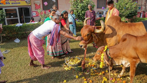 Govardhan Puja 2025 Puja Samagri List From Cow Dung To Tulsi Leaves Here s What You Need