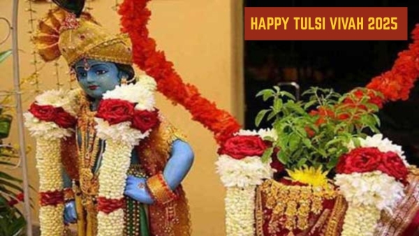 Happy Tulsi Vivah 2025 Wishes Top 50 Greetings Messages Images Texts Instagram X And WhatsApp Posts Happy Tulsi Vivah 2025 Wishes Top 50 Greetings Messages Images Texts Instagram X And WhatsApp Posts