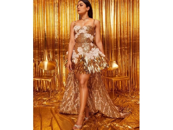 Dhanteras Celebrity Gold Silver Looks