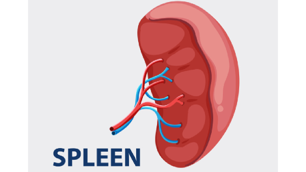 What Really Happened To Shreyas Iyer What Really Happened To Shreyas Iyer