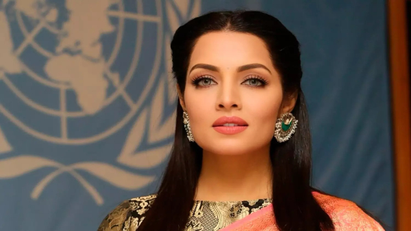 Celina-Jaitly-domestic-violence-blackmail