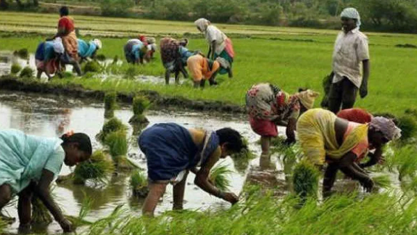 How India Supports Its Farmers Today