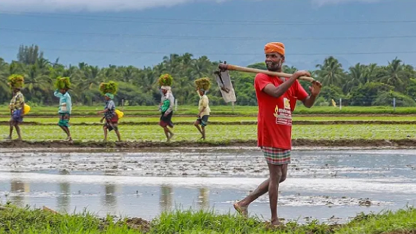 How India Supports Its Farmers Today