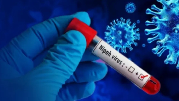 Nipah Virus Alert At Asian Airports Nipah Virus Alert At Asian Airports