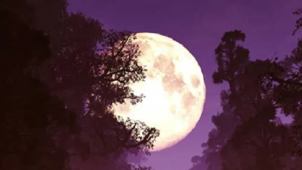 January 2026 Hindu Festival Calendar