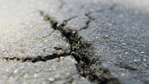 5 5 Magnitude Quake Rocks Kolkata