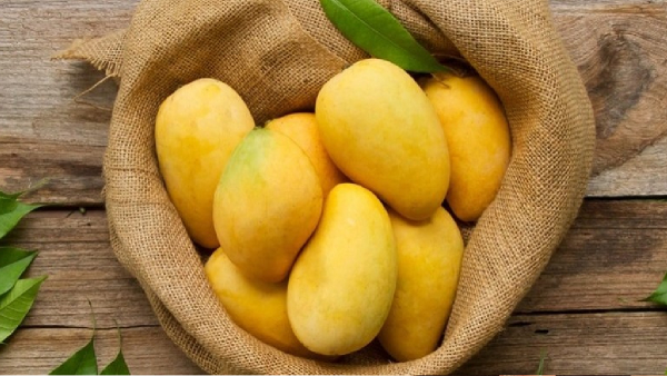 Uttar Pradesh Mango Legacy Uttar Pradesh Mango Legacy