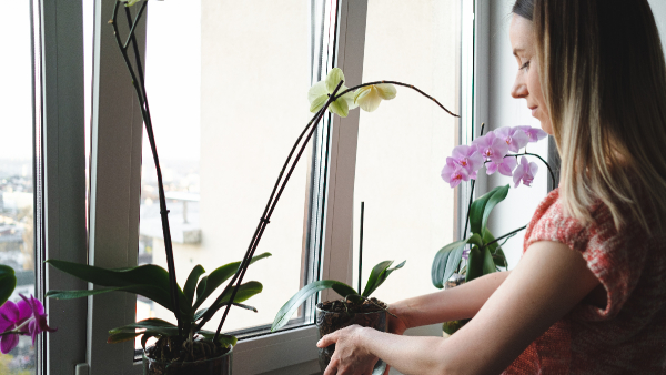 No AC Stay Cool Indoors