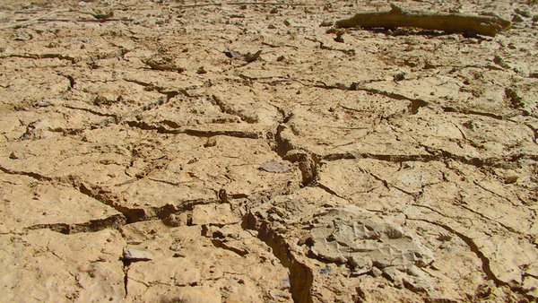 effects-of-El-nino