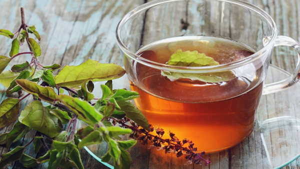 Tulsi-tea Tulsi-tea