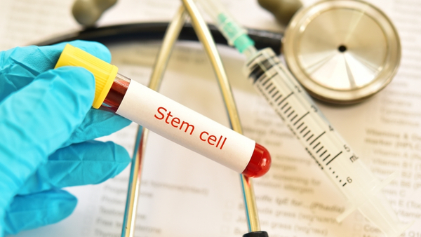 stem-cell-collection stem-cell-collection