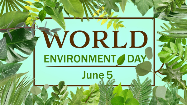 world-environment-day world-environment-day
