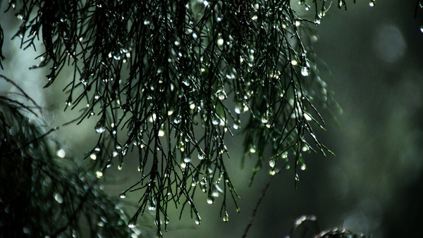 impact-of-Super-El-nino-on-Indian-monsoon impact-of-Super-El-nino-on-Indian-monsoon
