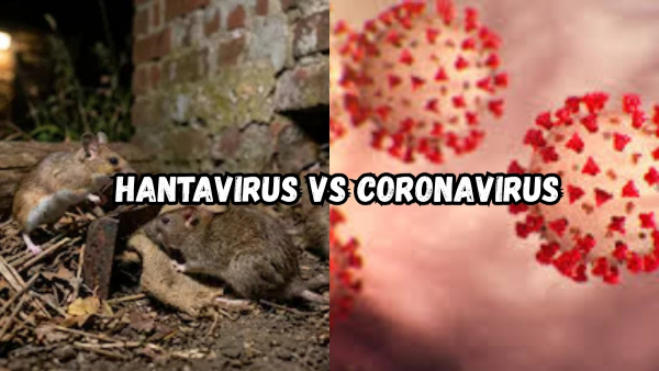 Hantavirus-vs-Coronavirus