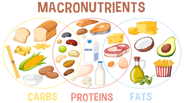 macronutrients-for-managing-lifestyle-diseases