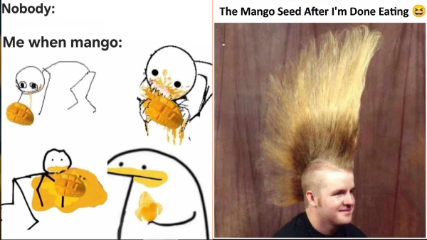 Mango Memes 2026
