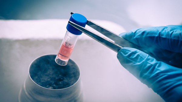 stem-cell-banking stem-cell-banking