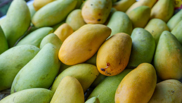 What To Avoid Doing This Mango Season