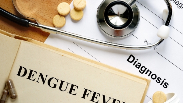 MCD Rolls Out Fogging Rally Due To Dengue