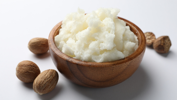 shea butter shea butter