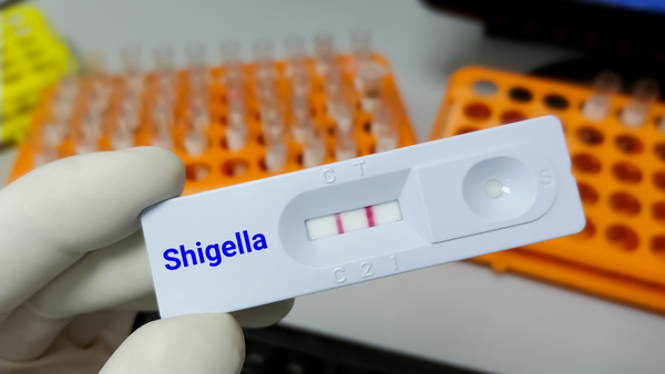 shigella transmission