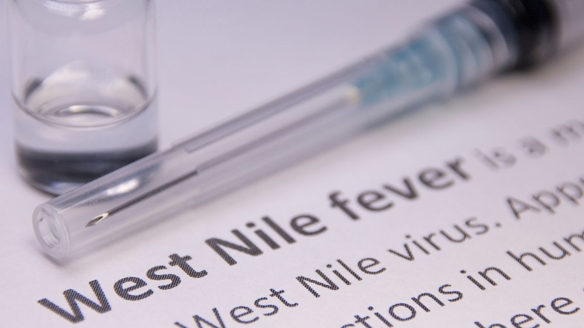 West Nile Fever Alert In Kerala: Causes, Symptoms, Treatment, And Prevention Guide