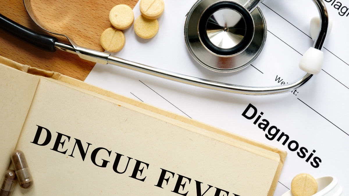 Dengue Count Hits 162 In Delhi: MCD Rolls Out Fogging Rally Across 250 Wards