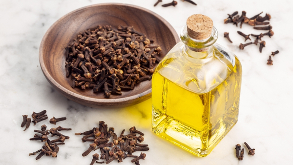 clove-oil-for-tooth-pain clove-oil-for-tooth-pain
