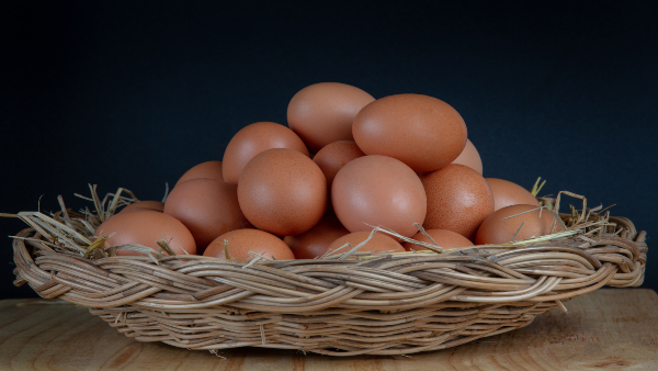eggs-for-sperm-count-increase eggs-for-sperm-count-increase